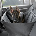 Compass Ochranný potah do auta pro malého psa 58 x 52 cm – Sleviste.cz