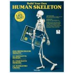 Build Your Own Human Skeleton – Zbozi.Blesk.cz