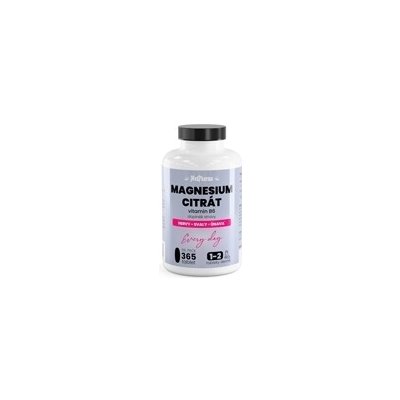 XXL Pack Every Day Magnesium Citrát + Vitamín B6 365 tablet – Hledejceny.cz
