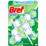Bref Power Activ WC blok Mint Eucalyptus 3 x 50 g – Sleviste.cz