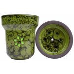 Solaris Eva Green/Black – Sleviste.cz