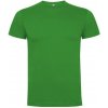 Pánské Tričko Roly tričko DOGO PREMIUM 165g E6502-216 Tropická zelená
