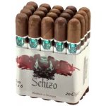 Asylum Schizo Toro 1 ks – Zboží Mobilmania
