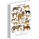Animalium Spirálový blok Kočkovité šelmy čtverečkovaný A4 – Hledejceny.cz