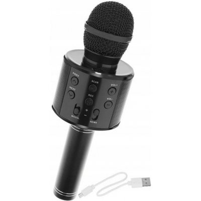 Alum Bezdrátový karaoke WS 858 černý – Sleviste.cz