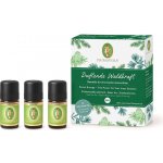 Primavera Aroma lékárnička Energie z lesa esenciální olej 3 x 5 ml – Zboží Dáma