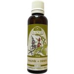 Naděje Podhorná Maliník tinktura z pupenů 50 ml – Hledejceny.cz