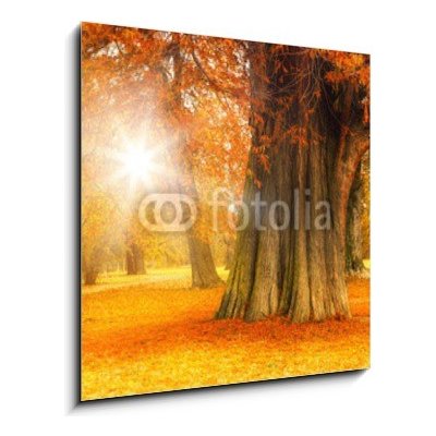 Obraz 1D - 50 x 50 cm - golden october zlatý říjen – Zboží Mobilmania