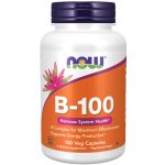 Now Foods NOW Vitamin B-100 Complex 100 rostlinných kapslí – Hledejceny.cz