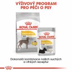 Royal Canin Maxi Dermacomfort 12 kg – Sleviste.cz