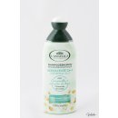 L' Angelica Officinalis Shampoo & Conditioner šampon s kondicionérem 250 ml