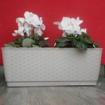 Prosperplast Truhlík Rattola DRL400P mocca – Zboží Dáma