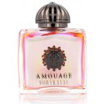 Amouage Portrayal parfémovaná voda dámská 100 ml – Hledejceny.cz