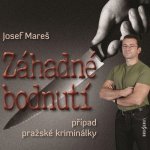 Záhadné bodnutí - Případ pražské kriminálky - - Mareš Josef – Zbozi.Blesk.cz