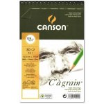 Canson C à grain Dessin A4 125g 30 archů kroužková vazba – Sleviste.cz