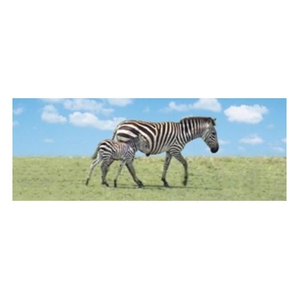 Záložka Záložka Úžaska Zebra s mládětem