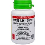 Sinecura BWM4.9-1439 ganluyin 60 tablet – Hledejceny.cz