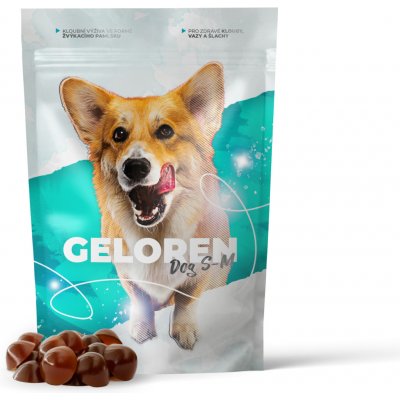 Geloren S-M kloubní výživa pro malé a střední psy 180 g 60 ks – Sleviste.cz