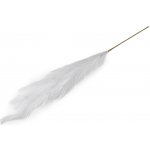 Prima-obchod Pampová tráva, barva 1 bílá – Sleviste.cz