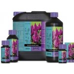 Atami B´Cuzz Blossom Builder Liquid 250 ml – Zboží Dáma