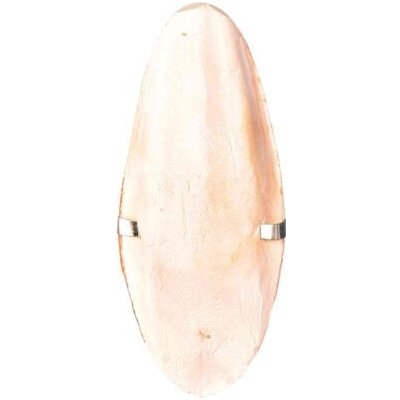 TRIXIE Sepiová kost s držátkem 12cm – Zboží Mobilmania