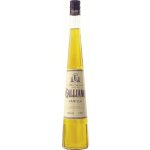 Galliano Vanilla 30% 0,7 l (holá láhev) – Zboží Dáma