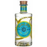 Malfy Gin con Limone 41% 0,7 l (holá láhev) – Hledejceny.cz