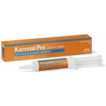 NBF Lanes Karenal pasta 30 g – Hledejceny.cz