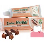 Dabur s hřebíčkem Proti zubnímu kazu Bez fluoru 100 ml – Hledejceny.cz