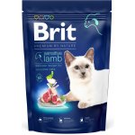 Brit Premium by Nature Kitten Chicken 1,5 kg – Zboží Mobilmania