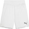 Puma TEAMGOAL SHORTS JR