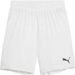 Puma TEAMGOAL SHORTS JR – Zboží Dáma