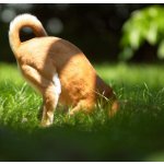 Láska 34 Podpůrný přírodní sprej 100 ml – Hledejceny.cz