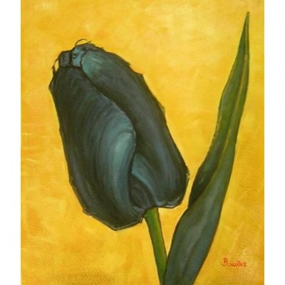 Obrazy květiny: Černý tulipán (90 x 60 cm) — Heureka.cz