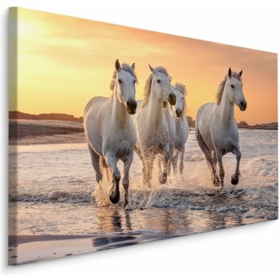 MyBestHome BOX Plátno Koně U Středozemního Moře Varianta: 40x30 – Zboží Mobilmania