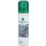 Farmona Herbal Care Black Mint deodorant ve spreji na nohy a do bot Neutralizes Foot and Shoe Odours 150 ml – Zbozi.Blesk.cz