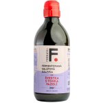 Fermato Fermentovaná salátová zálivka švestka s tonka fazolí 340 ml – Hledejceny.cz