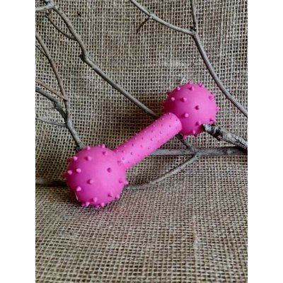 JK ANIMALS pro psy z TPR činka s bodlinami 14 cm – Zbozi.Blesk.cz