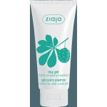 Ziaja Leg Gel kaštanový gel na nohy 100 ml – Sleviste.cz