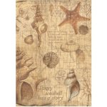 Stamperia Rýžový papír Mušle – Hledejceny.cz