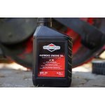 Briggs & Stratton SAE 30 600 ml – Sleviste.cz