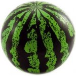 Míč meloun plast 20cm v síťce – Zbozi.Blesk.cz