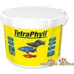 Tetra Phyll 10 l – Zbozi.Blesk.cz