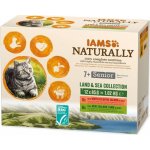Iams Cat Senior losos jehně v omáčce 12 x 85 g – Hledejceny.cz
