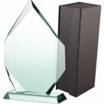 Skleněná trofej s pouzdrem – Sleviste.cz