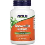 Now Foods Boswellia Extract 500 mg 90 softgel kapslí – Hledejceny.cz