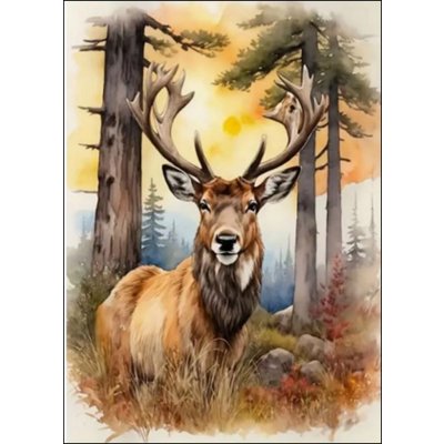 Norimpex Diamantové malování Jelen 30 x 40 cm – Zbozi.Blesk.cz