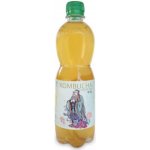 Stevikom Kombucha Meduňka 0,5 l – Zboží Dáma