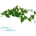 Lucky Reptile Ivy Vine 200 cm – HobbyKompas.cz