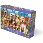 Prime 3D puzzle Domácí zvířátka 31x23cm 100 ks holografické – Hledejceny.cz